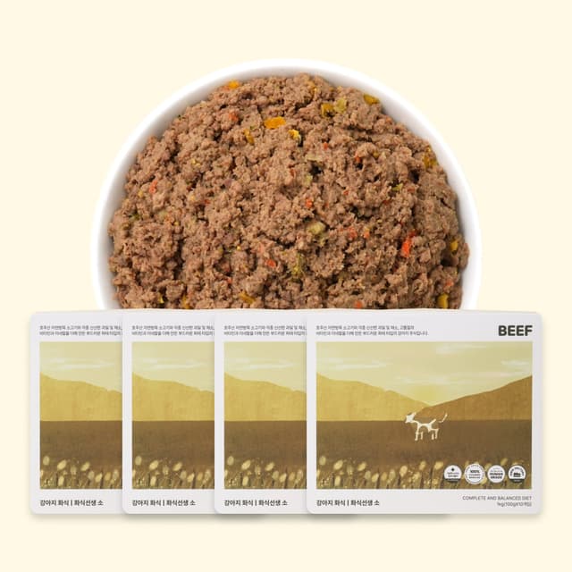 강아지 습식 사료 포옹 화식선생 소고기 4kg, 38% 적립 혜택 제공