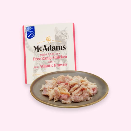 고양이 습식 사료 맥아담스 자유방목 치킨 MSC 아틀랜틱 새우 100g, 27% 적립 혜택 제공