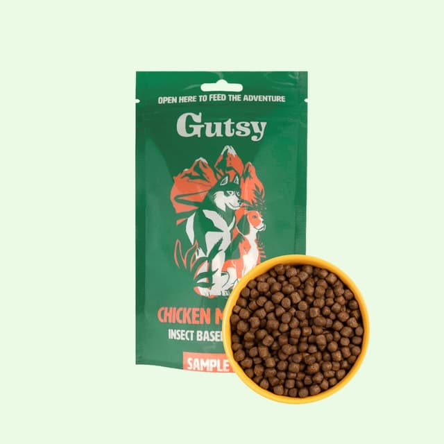 강아지 사료 굿씨 밀웜 치킨 먼치즈 퍼피 키블 맛보기용 샘플 100g, 22% 적립 혜택 제공